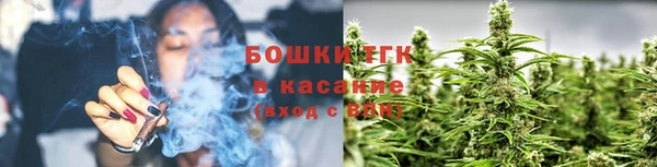 мдпв Семилуки