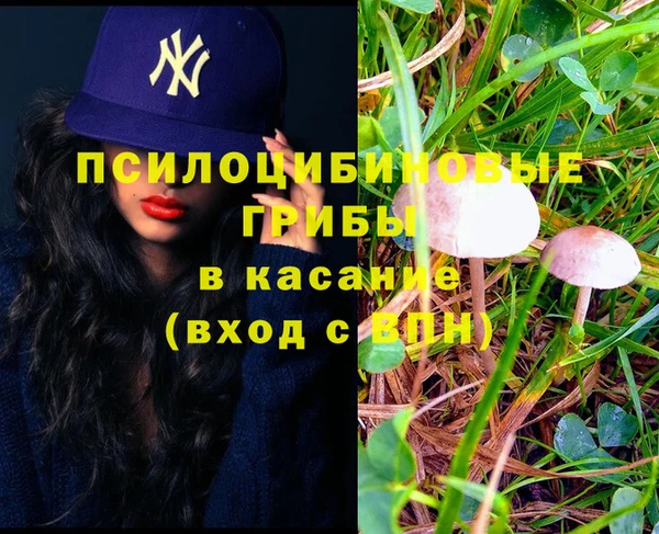 дмт Магас