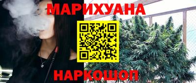 индика Гусев