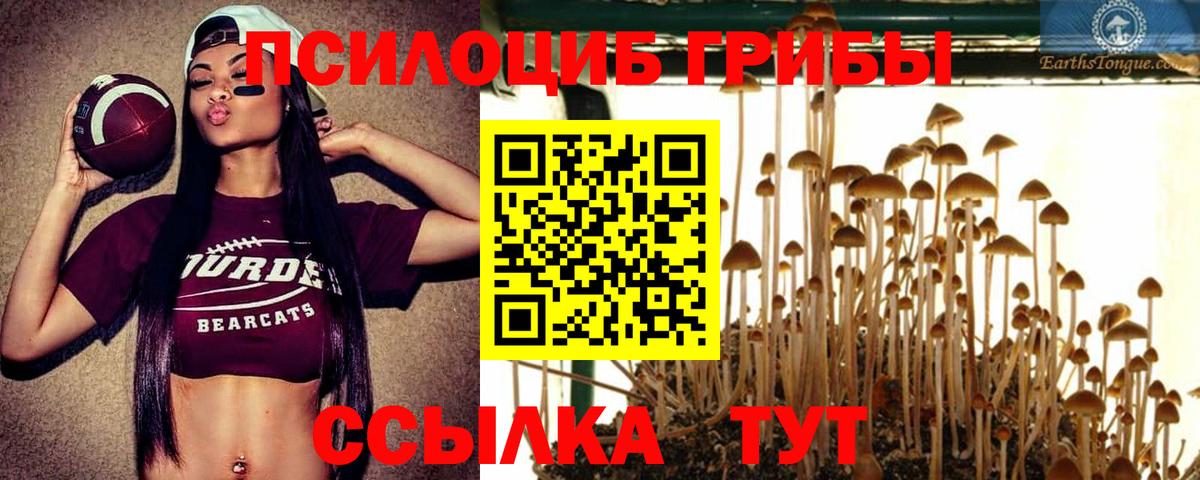 Галлюциногенные грибы Cubensis Канаш