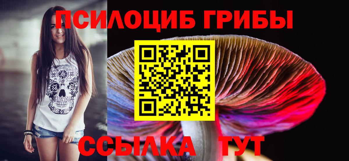 Галлюциногенные грибы Psilocybine cubensis Канаш